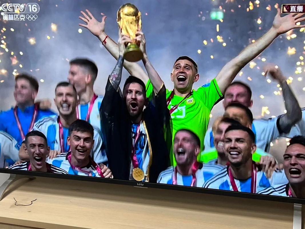 足球世界杯直播在线看